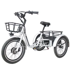 Factory 20inch Cargo 500w 750w electric tricycle 3 wheel electric bicycle fat tyre etrike 3 wheel mountain E trike