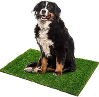 Langlebiger und Pflegeleichter 30mm Innen-/Außen-Haustier-Teppich Künstlicher Rasen Hundematte