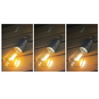 Ampoule LED Intelligente Rechargeable avec Câble TYPE-C 5V 400mAh, Capacité de la Batterie, LED à Intensité Variable, Guirlande Lumineuse Féerique