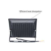 Projecteur LED 220V 10W 30W 50W 100W, réflecteur LED étanche IP65, éclairage mural extérieur, blanc chaud