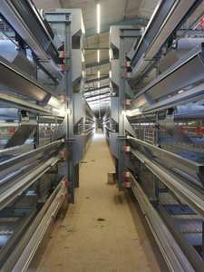 Cages à batterie poulet kayer en fil soudé galvanisé - Product Image 3