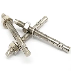 Type Anchor Bolt Expansion Flat Head Hex Shell Bolts Stainless Steel Wedge Anchors Ss316