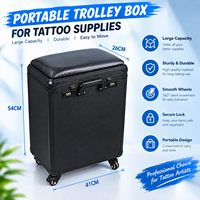 Chariot de tatouage portable multifonctionnel en aluminium PMU avec roues, design étanche pour maquillage permanent, art corporel et usage en salon