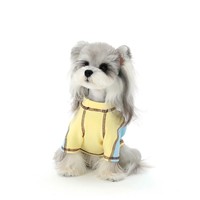 PAWSMOMENT Vêtements pour chiens très demandés, Nouveauté printemps-automne, Chemise en coton pour Teddy et Corgi, Style décontracté color block