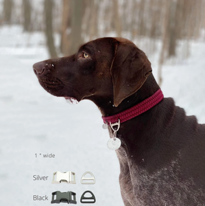 स्टाइलिश आधुनिक डिजाइन के साथ कुत्ते बिल्ली कॉलर - Product Image 5