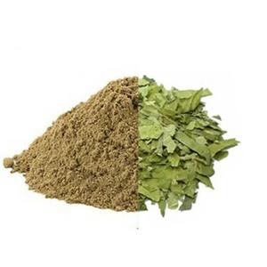 ผงกูดมาร์สมุนไพรป่า (จิมเนมา) สารสกัดสมุนไพรธรรมชาติ ผงละเอียด วัตถุดิบแปรรูปสะอาด บรรจุภัณฑ์ขนาดใหญ่ - Product Image 2