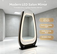 Miroir de Salon Classique de Luxe en Verre LED en Forme de Goutte d'Eau, sur Pied, Éclairé par LED Chaudes, avec Prises Intégrées