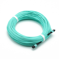 Yüksek Kaliteli 12 Çekirdekli MPO Push Pull Tab Trunk Kablosu, Veri Merkezi/FTTX Kullanımı için Aqua Kılıflı