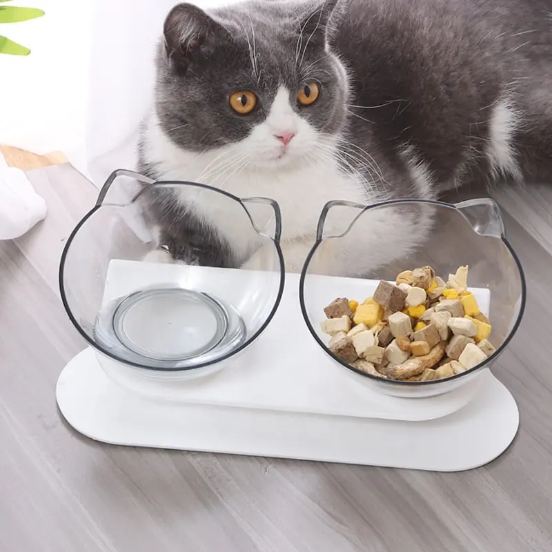 Nette Design Erhöhten Pet Katzen Hund Wasser Lebensmittel Schüssel Schützen Halswirbelsäule