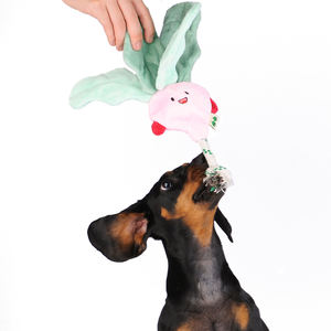 RTS üretici toptan trend köpek peluş eğlenceli çiğneme ipi oyuncaklar turp köpek Squeak halat oyuncak - Product Image 5
