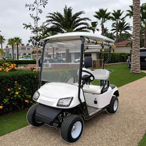 Carrito de Golf Eléctrico de 2 Plazas de Buena Calidad a Precios Promocionales del Fabricante, Carrito de Golf Eléctrico en Oferta para Carreteras No Públicas - Product Image 1
