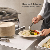 Plateau alimentaire en bagasse de canne à sucre, conteneur en bagasse, vente en gros, assiette en papier biodégradable, plat rond blanc, 100% compostable