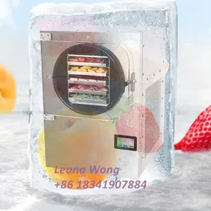 Небольшая вакуумная сушильная машина для замораживания овощей фруктов мяса домашних пищевых продуктов домашняя сушилка