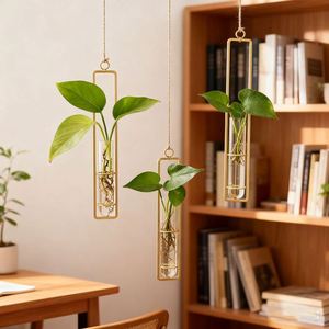Vase en verre hydroponique mural géométrique transparent pour la propagation des plantes, bouteille de culture aquatique - Product Image 1