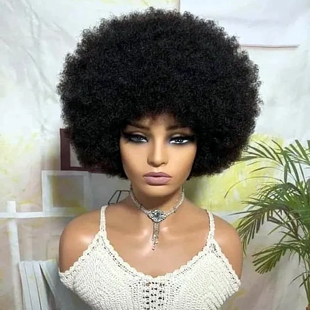 Bleached Knots Afro kinky Curly Brazilian Human Hair Lace Wigs, Swiss HD Film African American Lace Frontal Wigs For Black Women