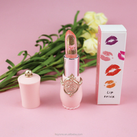 Vente en gros, logo personnalisé, tube plus, 6 nuances, rouge à lèvres végétalien imperméable de luxe, vendeur, brillant à lèvres liquide rouge à lèvres