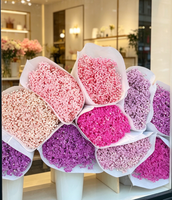 LUYI Factory Outlet Vente en gros de fleurs séchées stabilisées à la glycérine, bouquet de gypsophile et roses 60-70cm, Fête des Mères, Noël, Mariage