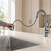 Robinet de cuisine OEM commercial extractible trois modes chaud/froid à double commande, finition gris PVD, pour lavabo
