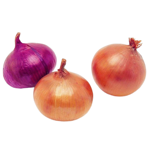 Bolsa de malla de 20kg de alta calidad de cebollas moradas Rojas Oignon Frais fresco a un precio Especias y hierbas individuales - Product Image 4