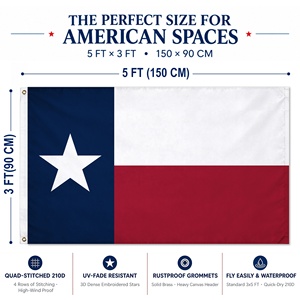 Drapeau de l'État du Texas (États-Unis) Premium 3x5FT, brodé et cousu, en nylon Oxford 210D, avec ourlet renforcé à 4 rangées de points et œillets en laiton massif - Product Image 2