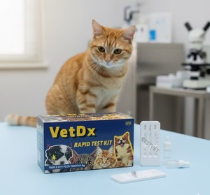 Professioneller Testlaborhersteller für veterinärmedizinische Diagnostikinstrumente, Feline FHV <span class=keywords><strong>Herpes</strong></span> FCV/FHV Kombinationskits für Katzen - Product Image 2