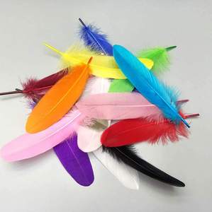 Plumas de poste duras de colores variados, para manualidades en plumas, DIY, para vestido, 4-6 pulgadas, venta al por mayor - Product Image 4