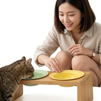 Bols surélevés en bambou pour animaux de compagnie, double distributeur d'eau et de nourriture, support en céramique, station d'alimentation minimaliste pour chats et chiens
