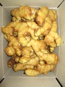 Jahe Kering Baru untuk Grosir Jahe Kering dalam Jumlah Besar Jahe Cina Segar untuk Dijual Harga Rendah - Product Image 3