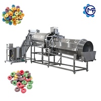 Maïsflakes smaak- en kruidensysteem dubbele trommels voor granen, snacks, snoep, chocolade, fruitmixer, poeder spuitmachine