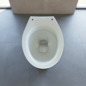 Inodoro de Porcelana Morvi India, Sanitario para Baño, con Sifón, Económico - Product Image 2