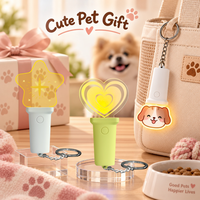 Porte-clés personnalisé en acrylique avec dessin animé, LED, forme patte, os, chat, chien, couleur changeante, breloque de sac, cadeau OEM