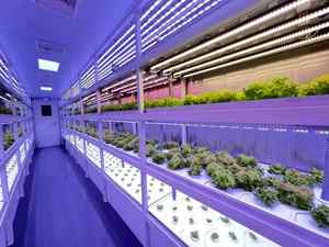 Future Farm's Portable Plant Factory Vertical LED Grow Light Conteneur d'expédition Hydroponique avec équipement d'irrigation - Product Image 6