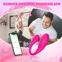 YLove Starker Motor Panty Love Eggs APP-Gesteuerter Vibrator Großhandel Sexy Ei Vibrationsspielzeug für Frauen