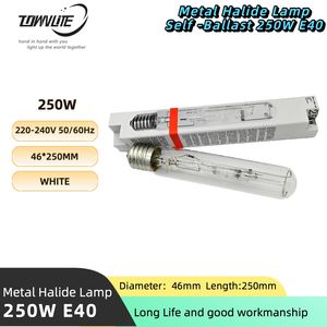 Lampe à halogénures métalliques à tube droit mixte T46 220-240V, <span class=keywords><strong>auto</strong></span>-équilibrante, 250W E40, facile à installer - Product Image 1
