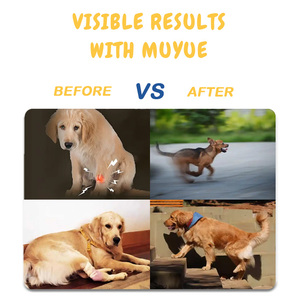 Complément alimentaire biologique pour les hanches et les articulations des chiens avec vitamine E Soins et suppléments pour la santé des animaux de compagnie pour le confort canin - Product Image 6