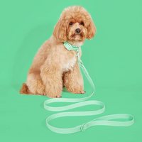 Offre Spéciale : Ensemble Collier et Laisse Réglables en PVC Souple et Confortable pour Animaux de Compagnie – Style Moderne et Simple, Étanche pour l'Extérieur, Idéal pour Chats et Chiens