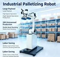 Robot de Paletización Robótico Colaborativo de Tamaño Compacto y Bajo Costo para Paletización en Pequeñas Fábricas de Bebidas