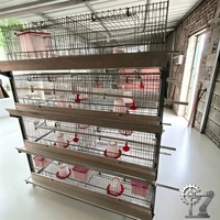 Nouveau Système de Cage d'Élevage de Poulets Entièrement Automatique de Type H en Gros, Contrôle Précis de la Température, Acier Galvanisé Durable pour Poussins