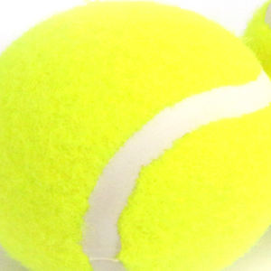 Paquete de 2 Cintas Elásticas de Alta Resistencia para Tenis, 6.4 CM, Juguetes Interactivos y de Movimiento para Mascotas - Product Image 5