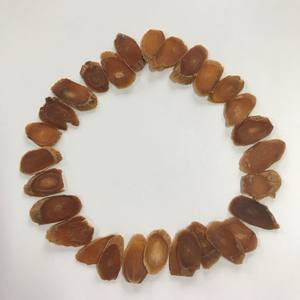 Poudre et tranches rouges de qualité alimentaire biologique provenant d'une usine riche en saponines actives - Product Image 3