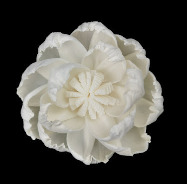 Pivoine exquise de 8 cm-s636a08n