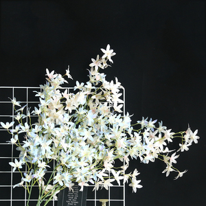orquídeas flor artificial phalaenopsis mariposa oncidium <span class=keywords><strong>de</strong></span> <span class=keywords><strong>las</strong></span> plantas <span class=keywords><strong>de</strong></span> orquídeas para la decoración del hogar - Product Image 5