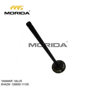 VALVE EX 6HA2M-HT 12665011100 pour YANMAR - Product Image 1