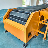 Nuevo Sistema Clasificador de Banda Estrecha de Transporte Lineal Ajustable de Alta Velocidad, Diseño Duradero, 99.99% de Precisión de Clasificación, 8000-18000