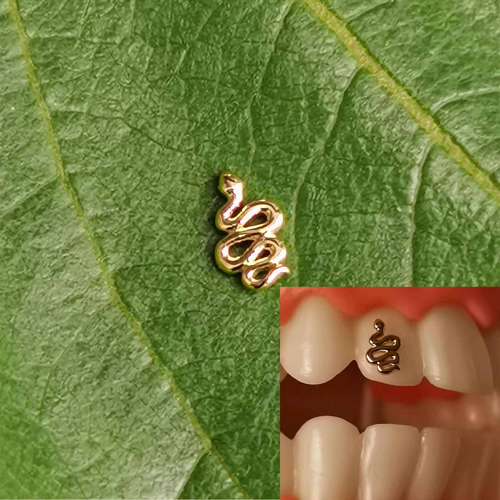 Serpiente