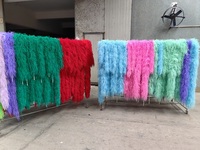 Écharpe en plumes d'autruche pour femme, idéale pour les fêtes à domicile, mariages, décorations de Noël, projets DIY, vêtements, costumes, robes de danse, accessoires de cosplay