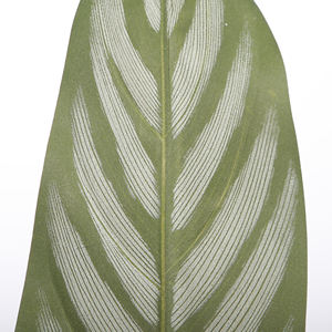 Plantas Artificiais <span class=keywords><strong>Calathea</strong></span> 100cm Plantas Artificiais Plantas De Piso Falso Em Vaso Para Decoração De Escritório Interior - Product Image 3