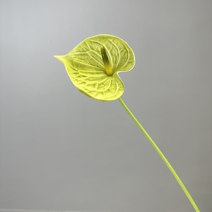 <span class=keywords><strong>Fiori</strong></span> Artificiali di Anthurium di Alta Qualità, Realistici al Tatto, Fiore di Anthurium Arancione per Decorazioni Casa, Feste, Tavoli e Centrotavola Matrimoniali - Product Image 3
