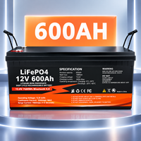 Batterie LiFePO4 empilable de qualité supérieure 12V 24V 100Ah 200Ah, plus de 6000 cycles, système de stockage d'énergie solaire domestique à décharge profonde au lithium