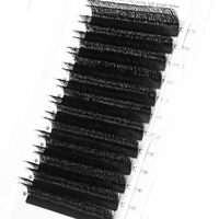 Extensions de cils en forme de W V Y, faux cils, tissage 2D-Y, individuels, noir mat, trèfle, double couche, Y 3D 4D
